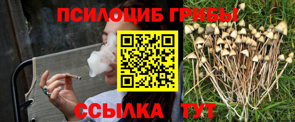 Псилоцибиновые грибы прущие грибы  Вход с VPN  Псилоцибиновые грибы Psilocybine cubensis  Железногорск 